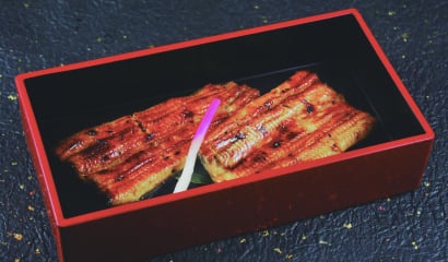 江戸川